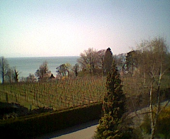 Ausblick vom Balkon
